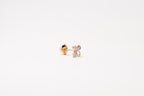 18K Yellow Gold Earrings