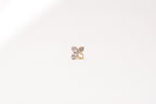 18K Yellow Gold Earrings