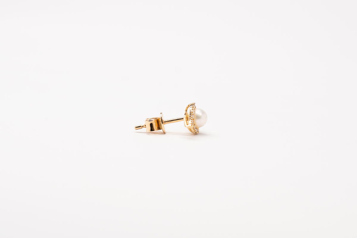 18K Yellow Gold Earrings