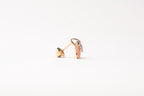 18K Yellow Gold Earrings