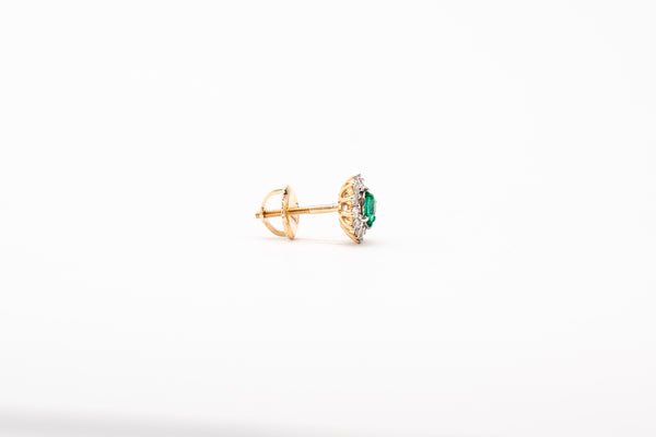 18K Yellow Gold Earrings