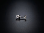 14K White Gold Earrings