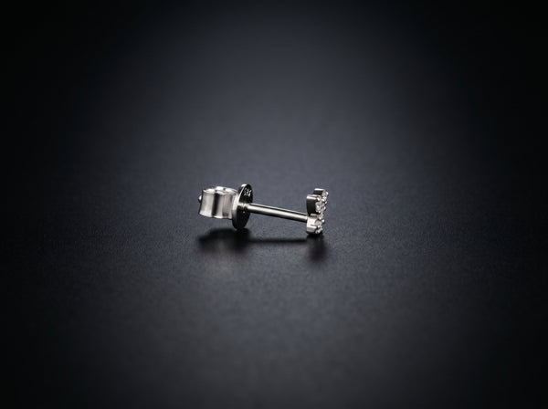 14K White Gold Earrings