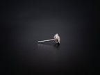 14K White Gold Earrings