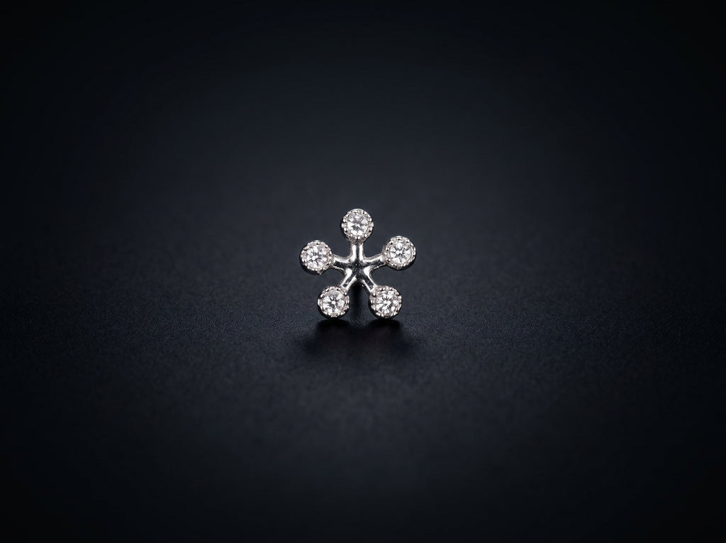 18K White Gold Earrings