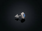 18K White Gold Earrings